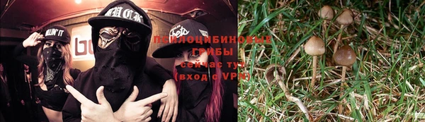 прущая мука Балахна