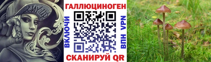 Купить закладки  Красноармейск  Галлюциногенные грибы ЛСД 